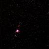 New Year's Starry sky 2 (Orion's Belt with Orion's Nebula M42)